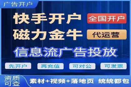 知名SEM服务公司成功案例分享